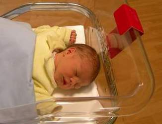 Lettera del pap&agrave; di Francesco