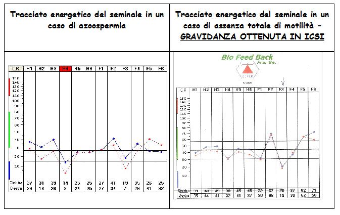 grafico_spermiogramma
