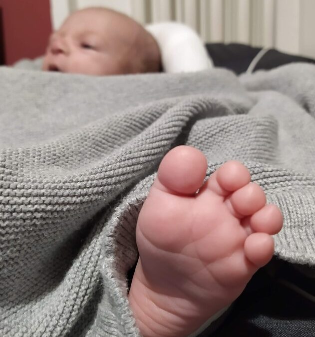 Il risultato di un percorso di PMA accompagnati passo dopo passo