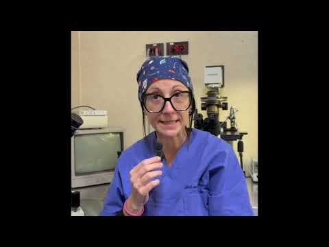 Video: Crioconservazione ovocitaria
