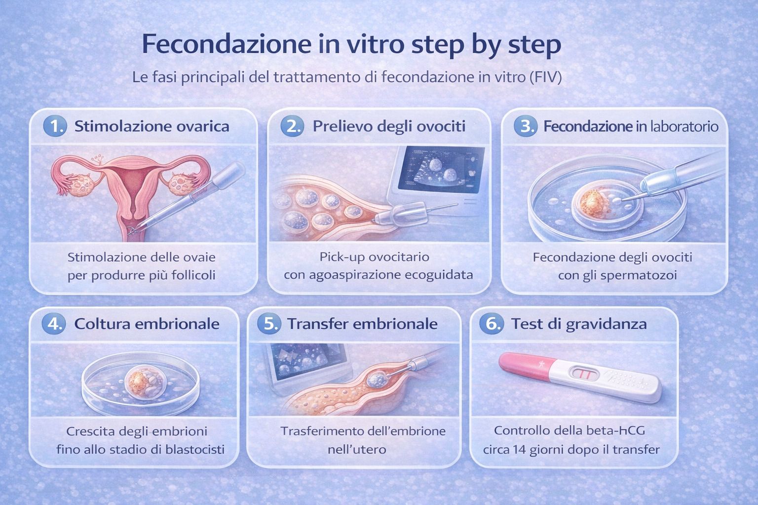 fasi della fecondazione in vitro step by step dalla stimolazione ovarica al transfer embrionale