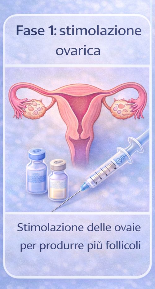 stimolazione ovarica nella fecondazione in vitro per produrre pi&ugrave; follicoli