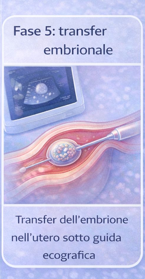transfer embrionale nell&rsquo;utero durante la fecondazione in vitro sotto guida ecografica